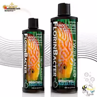 محلول باکتری آب شیرین فلورین باکتر برایت ول