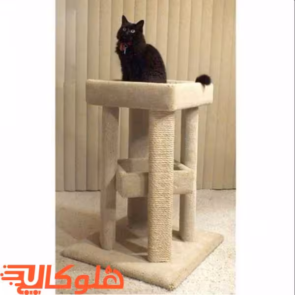 اسکرچر گربه مدل باختر ضمانت 6ماهه هلو کالا