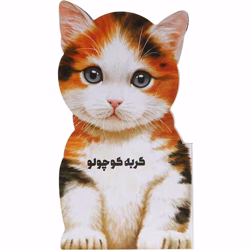کتاب داستان گربه کوچولو کد 593602