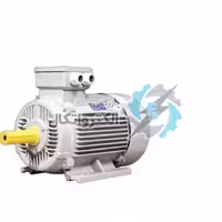 الکتروموتور 11KW سه فاز 3000RPM ارسم گوانگلو