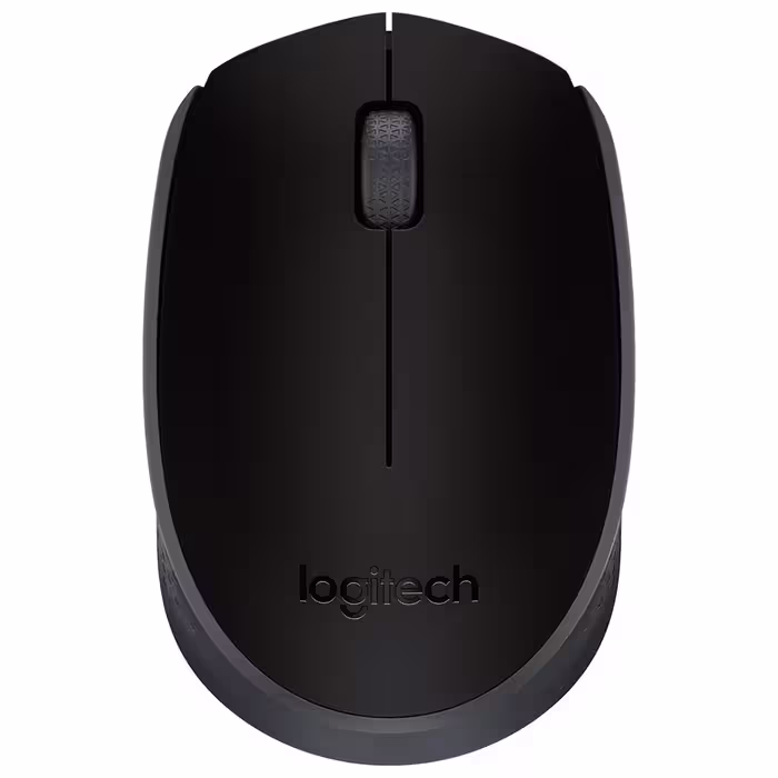 موس بی سیم لاجیتک M171