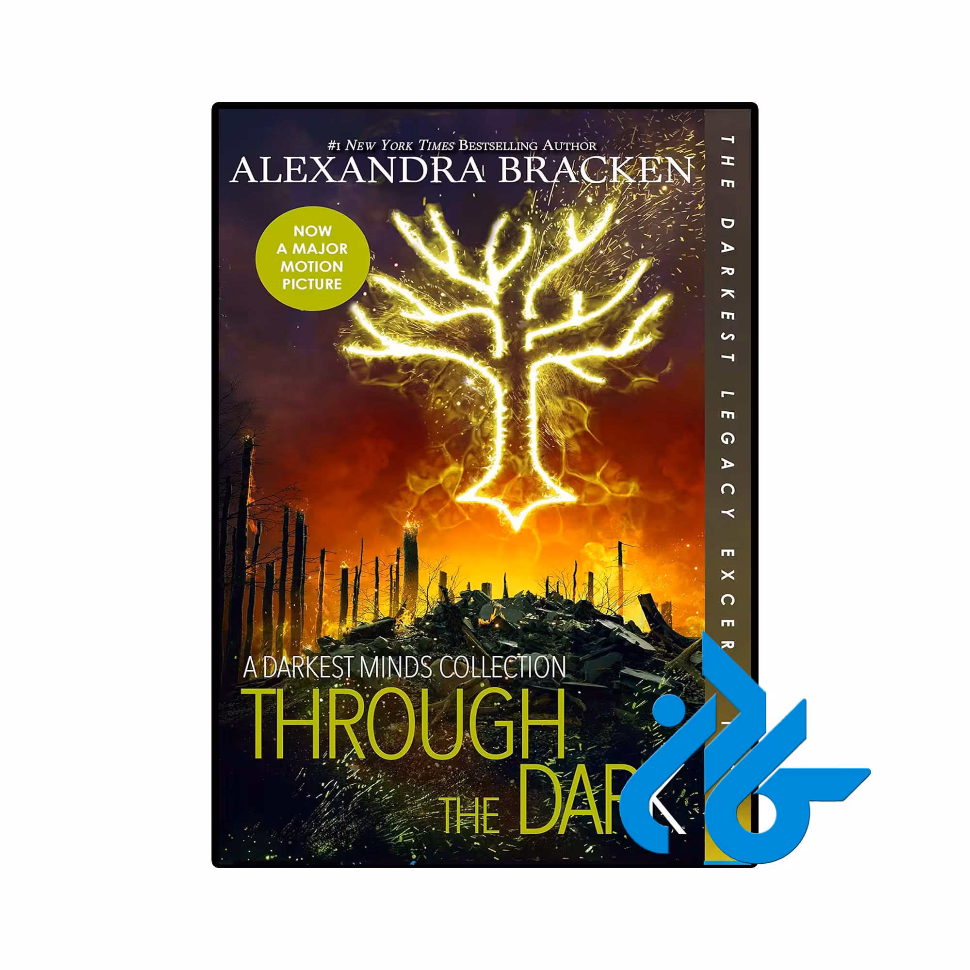 کتاب Through the Dark (رمان از میان تاریکی)(The Darkest Minds 5)