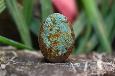 فیروزه نیشابور