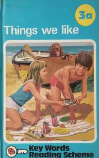 Things We Like: Key Words Reading Scheme 3A