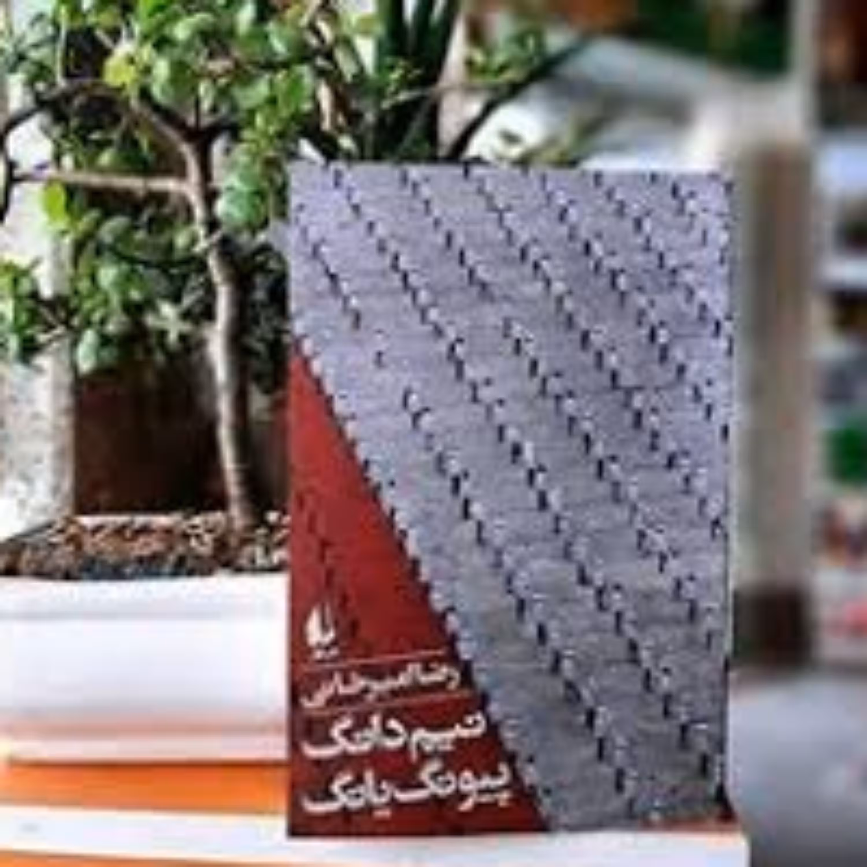 نیم دانگ پیونگ یانگ (شرح حال سفر به کره شمالی)