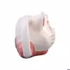 ماگ مدل گربه اشرافی