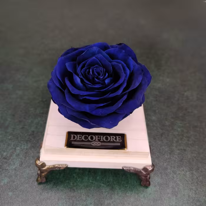 گل رز جاودان دکوفیوره طرح اقیانوس