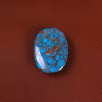 نگین فیروزه شجری کد 29505 - جواهری مشاهیر