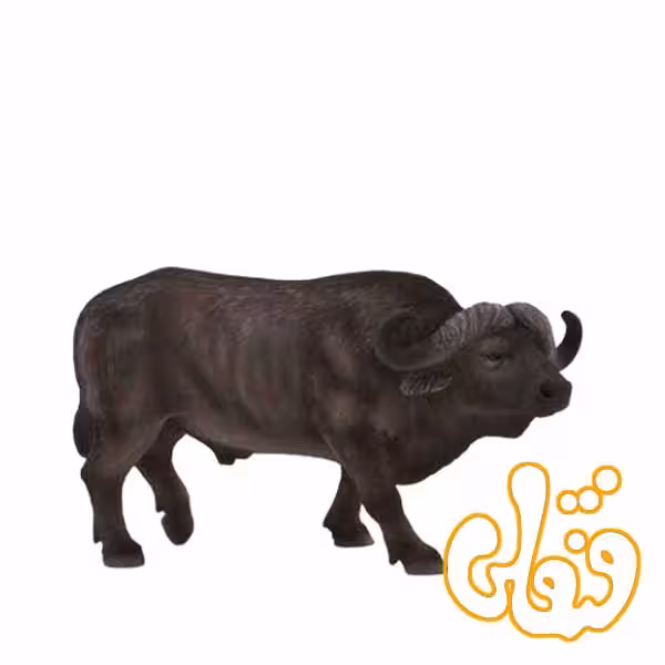 بوفالو Cape Buffalo 387111