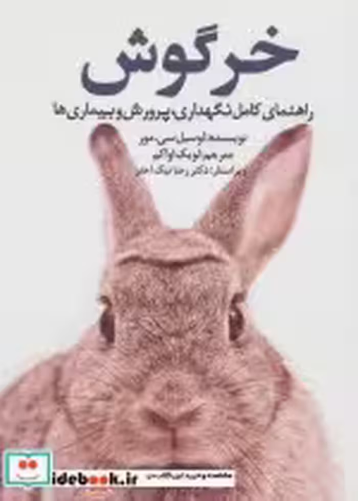 کتاب خرگوش نشر جاجرمی