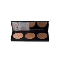 پالت کانتور پودری پرفکتینگ نوت