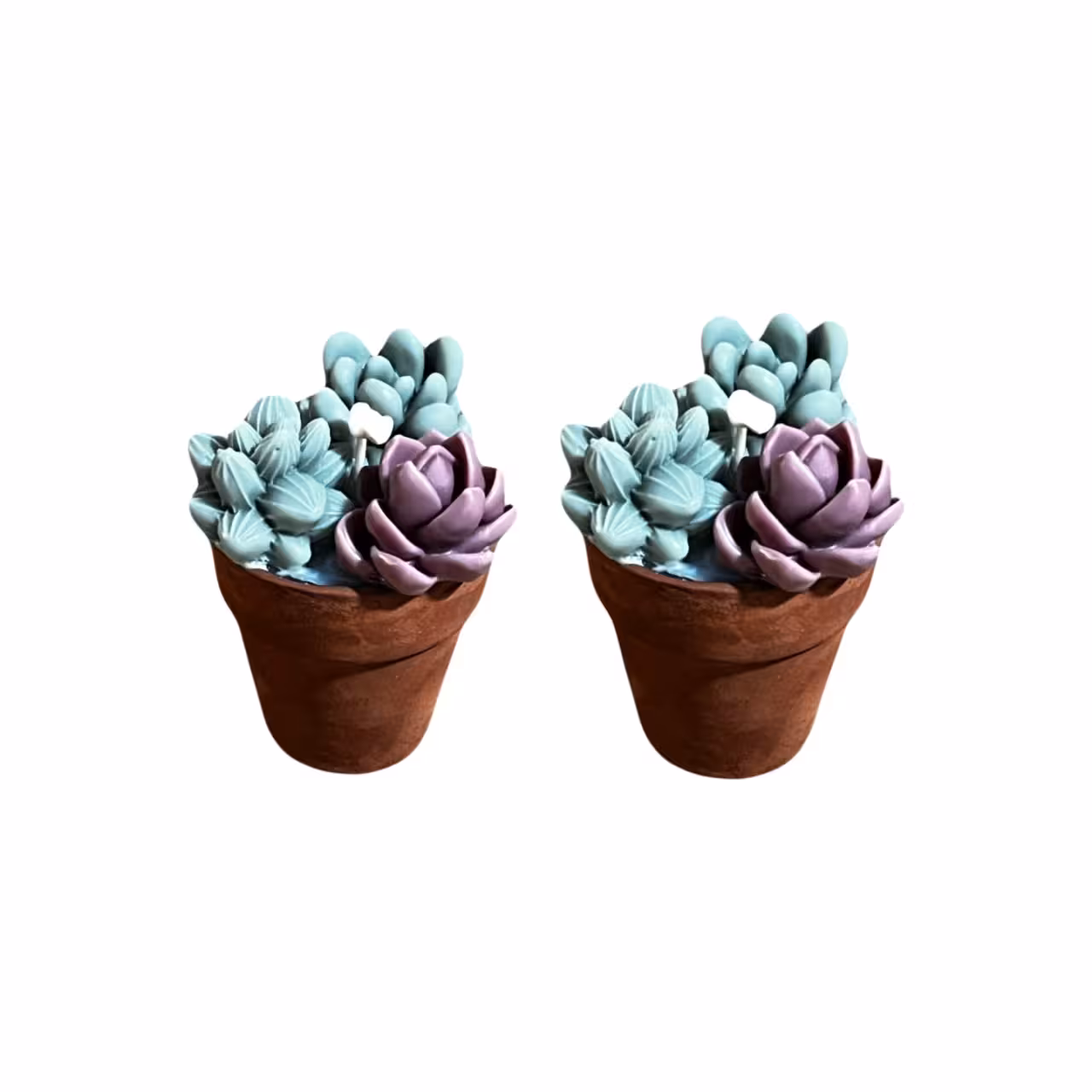 شمع مدل گلدان کاکتوس بسته 2 عددی