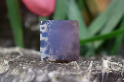 عقیق شجر هند