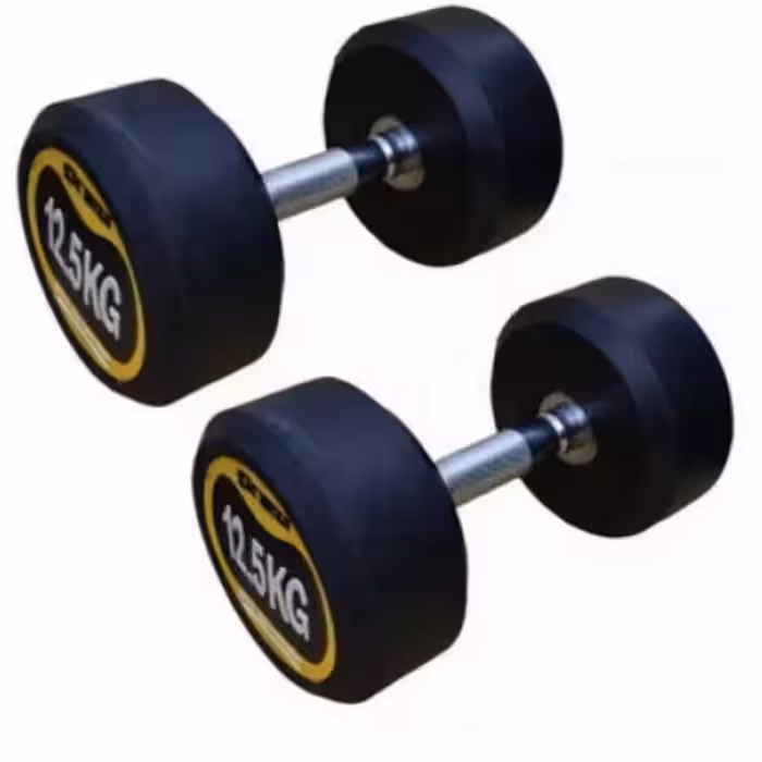 دمبل گرد 12ونیم کیلویی بسته 2 عددی