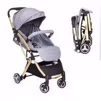 کالسکه ریچ کیدز با قابلیت نصب کریر بر روی بدنه ی کالسکه