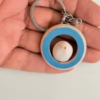 سرکلیدی جوجه داخل حلقه طرح چهار