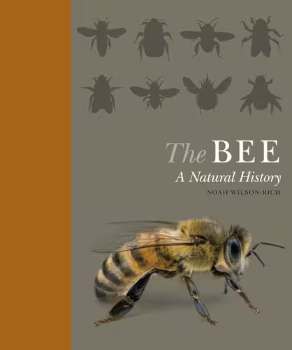 خرید و دانلود نسخه کامل کتاب The Bee: A Natural History