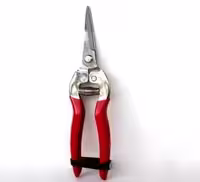 قیچی باغبانی سر کج میوه جیتک مدل DP-PS-828080392