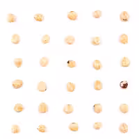 مغز فندق خام ممتاز 250 گرم (کد26)