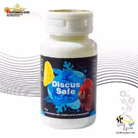 آماده ساز و بهینه ساز آب دیسکس سیف اسکای شریمپ