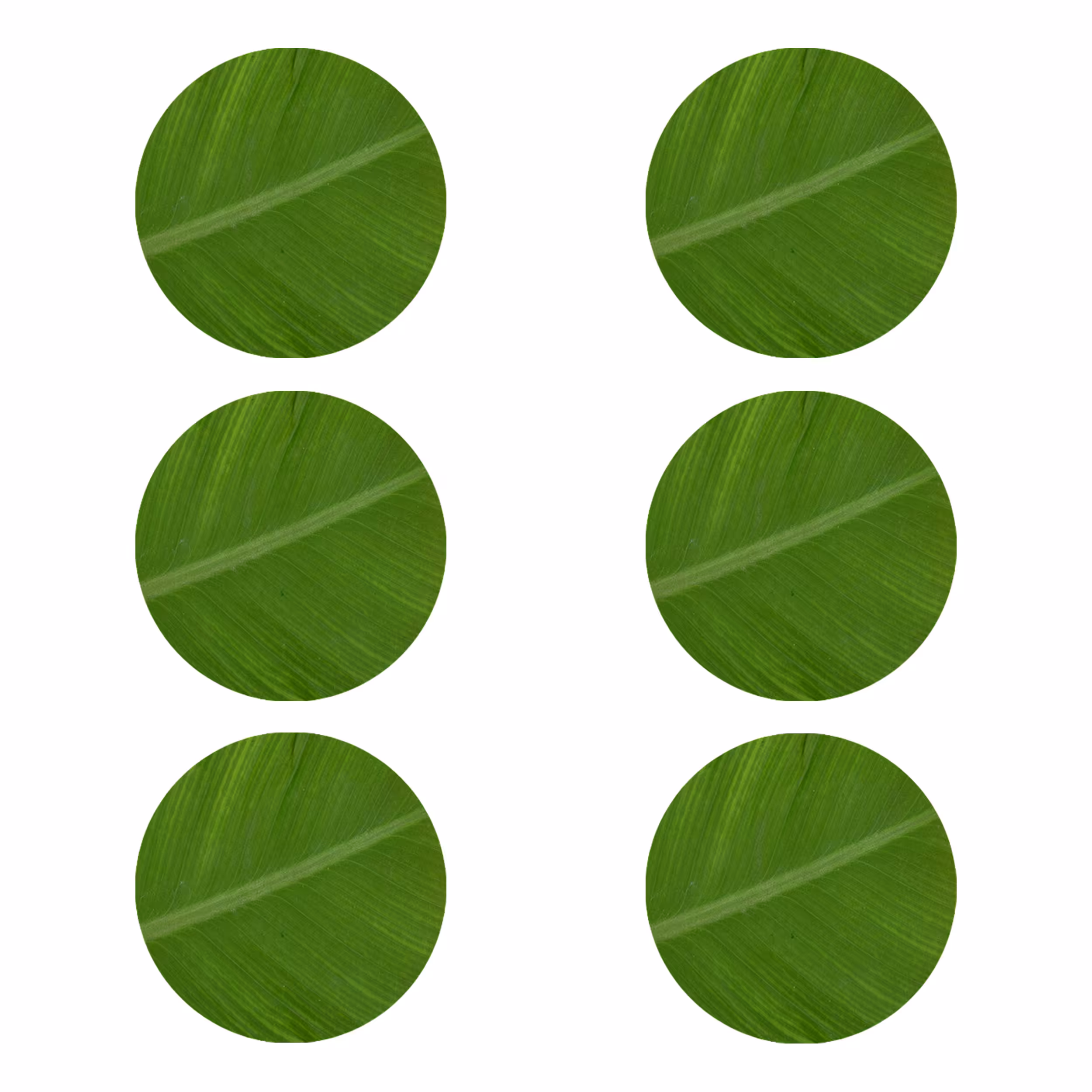 زیر لیوانی طرح برگ کد 8003 بسته 6 عددی