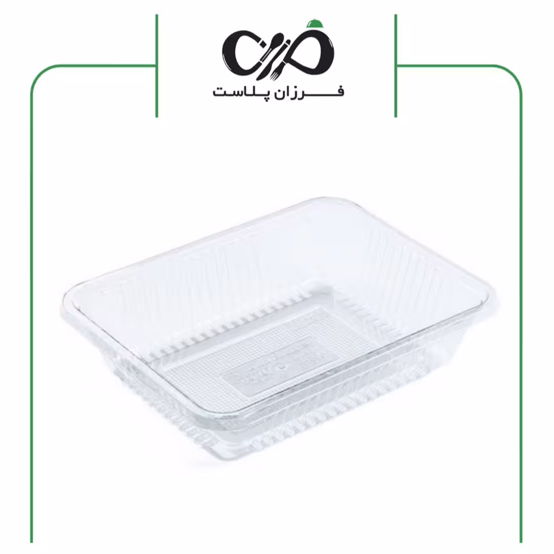 ظرف یکبار مصرف پروتئینی 2 دوپرسی 5cm شفاف پرشیا (250عددی)