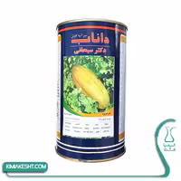 بذر خربزه خاتونی داناب دکتر سبحانی 500 گرمی