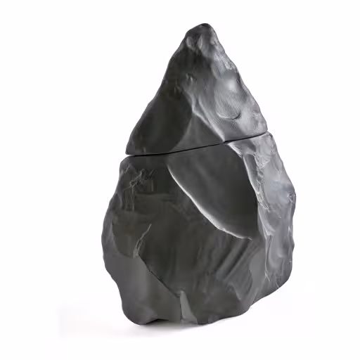 عطر Dark  از برند Neandertal