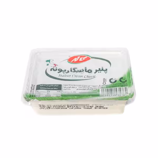 خرید پنیر ماسکارپونه 200 گرمی