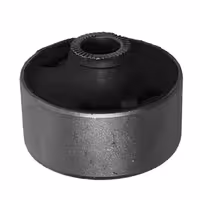 بوش طبق بزرگ آریو