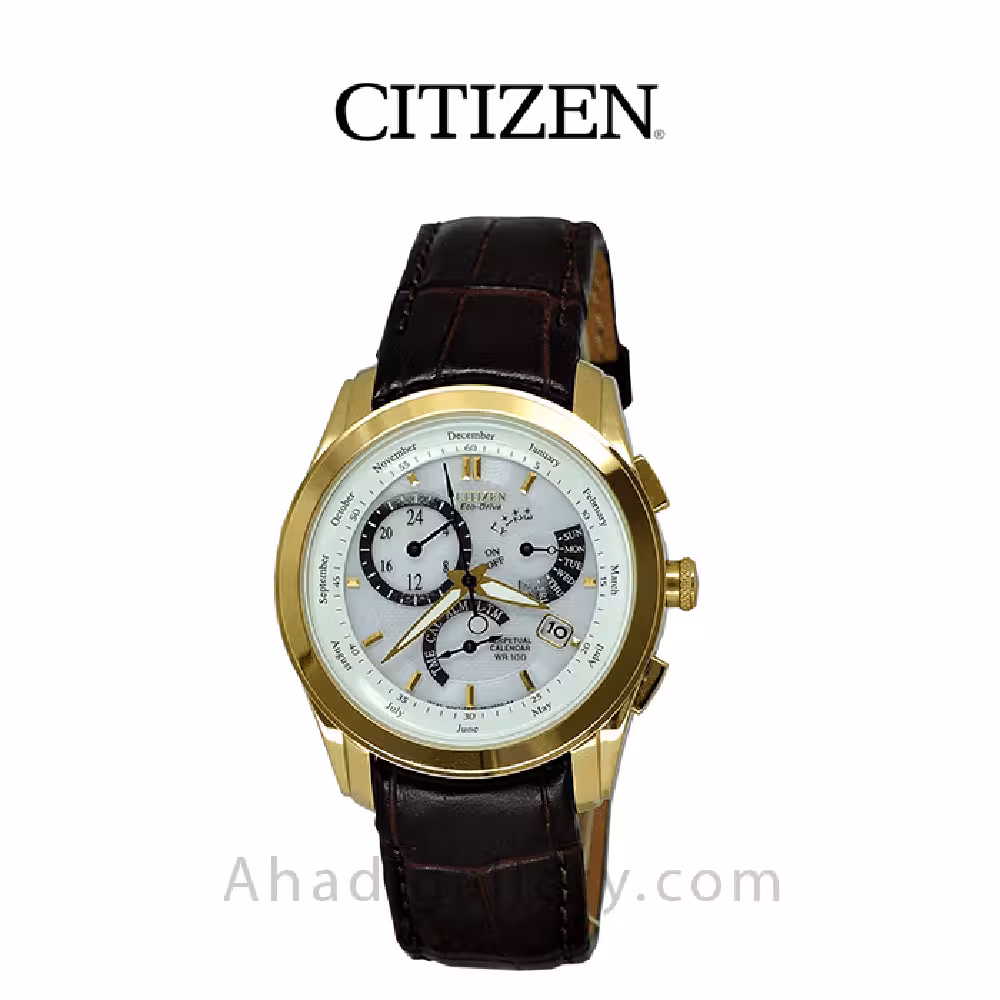 ساعت مچی سیتیزن مدل BL8006-07A