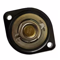 ترموستات 89 درجه                                      پژو 206 , برند رافف