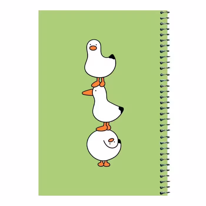 دفتر مشق 80 برگ اس جی طرح اردک های بامزه