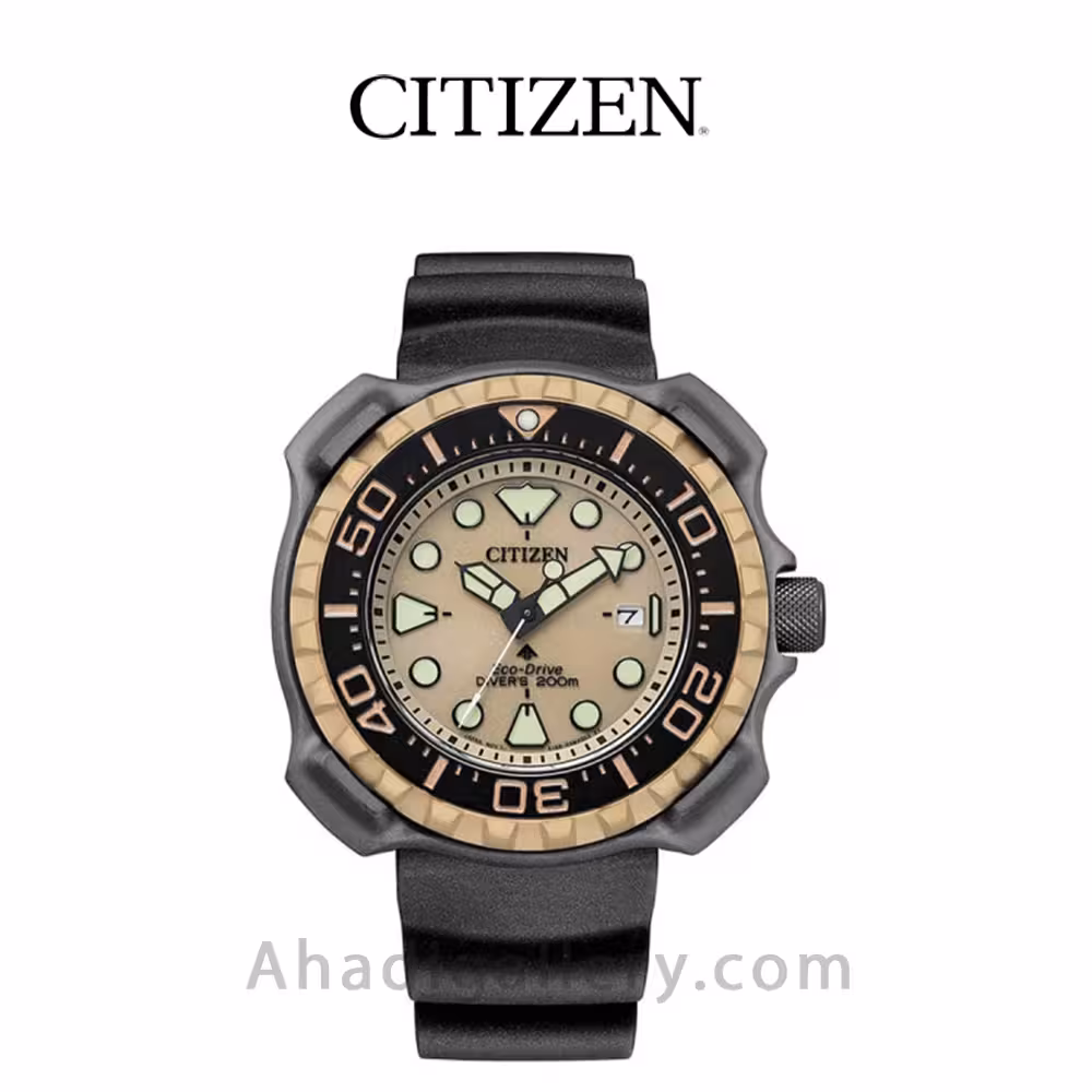 ساعت مچی سیتیزن مدل BN0226-10P