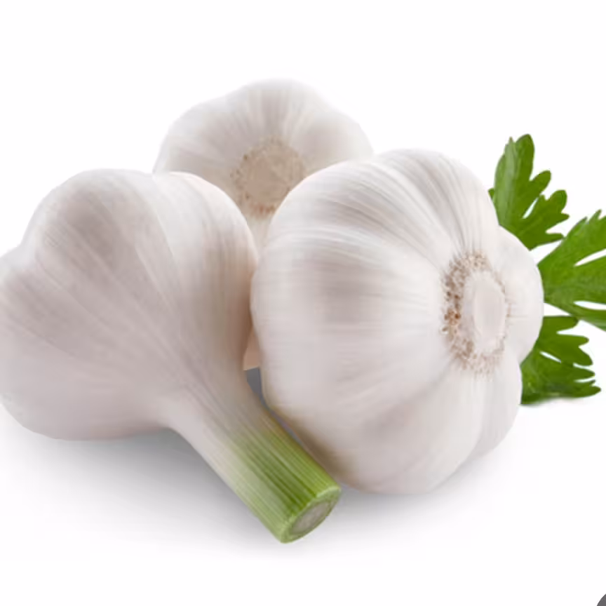 سیر تازه ممتاز