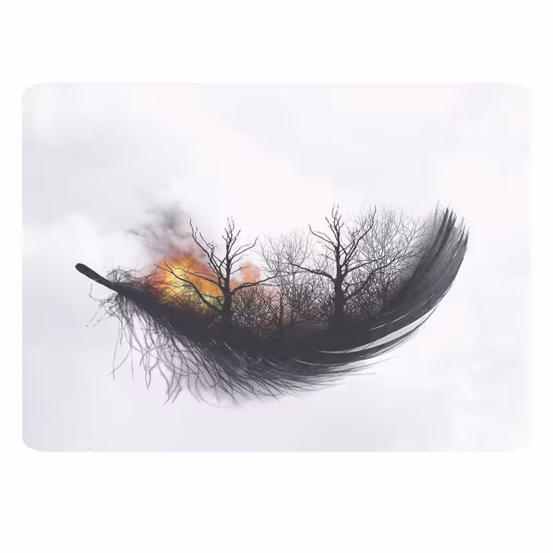 پد موس - پد ماوس طرح پر کد B127