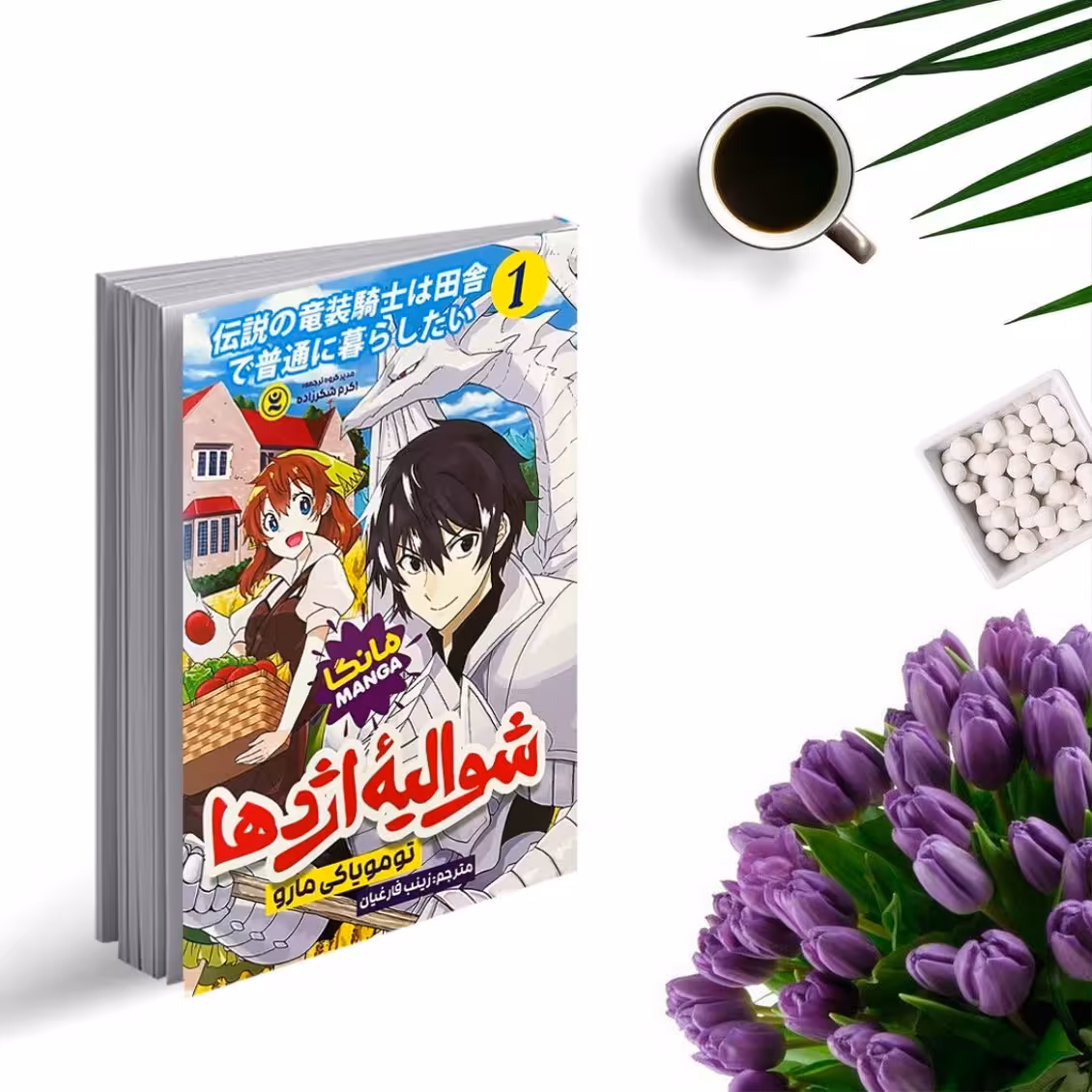 کتاب شوالیه اژدها 1(مانگا) اثر تومویاکی مارو انتشارات نگاه اشنا
