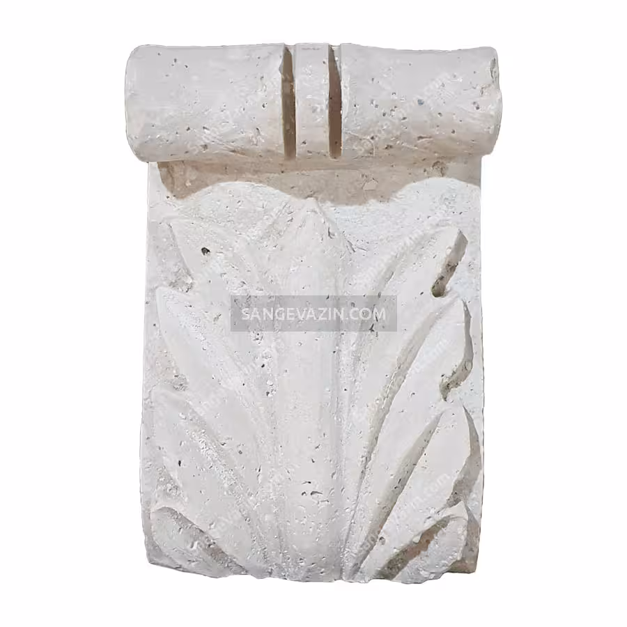 براکت فیکوس