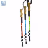 باتوم کوهنوردی کلیپسی آلپن استاک – Alpenstock