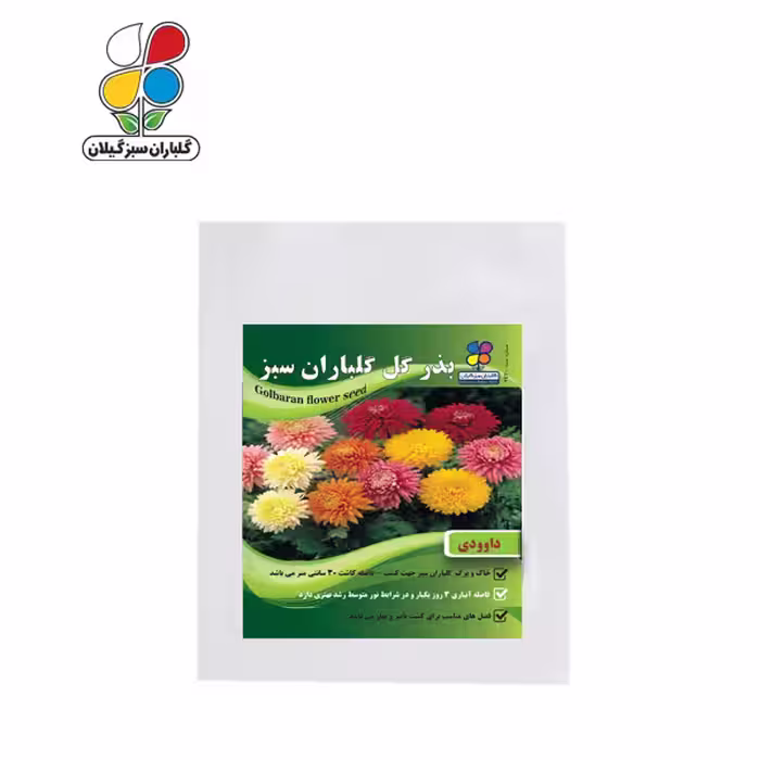 بذر گل داوودی بسته بندی بزرگ ( بسته 24 عددی )