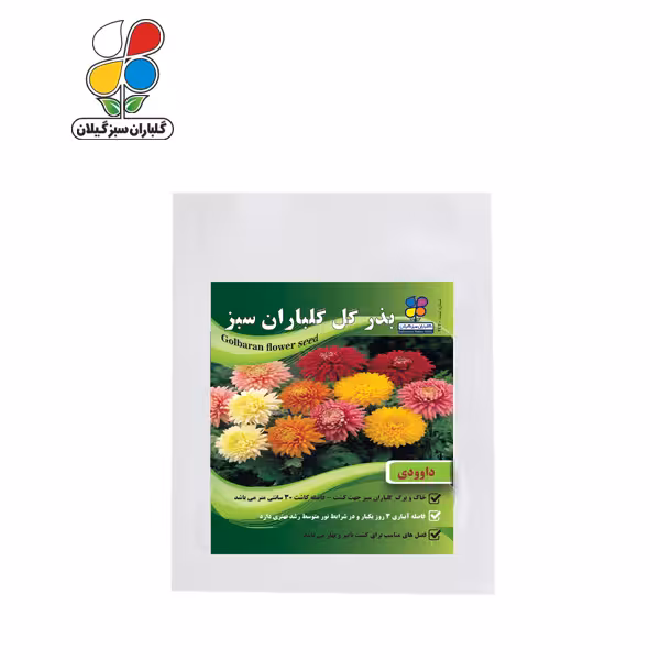 بذر گل داوودی بسته بندی بزرگ ( بسته 24 عددی )