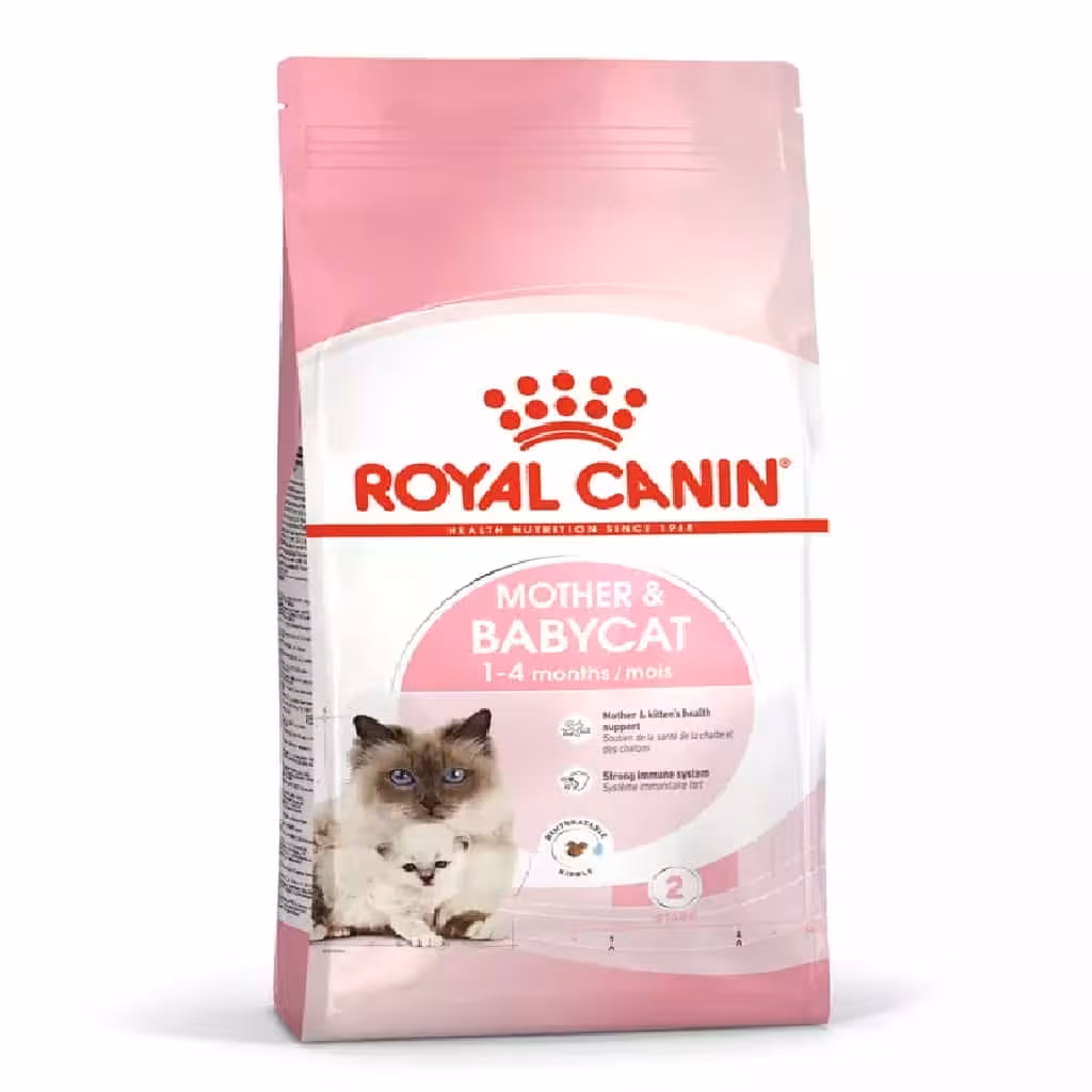 غذای خشک گربه رویال کنین مدل مادر و بچه Mother and babycat وزن 4 کیلوگرم