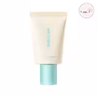 پرایمر کوچک کننده منافذ شیگلم