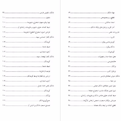 کتاب پیکره های زبان فارسی اثر دکتر حیات عامری از انتشارات دولت علم