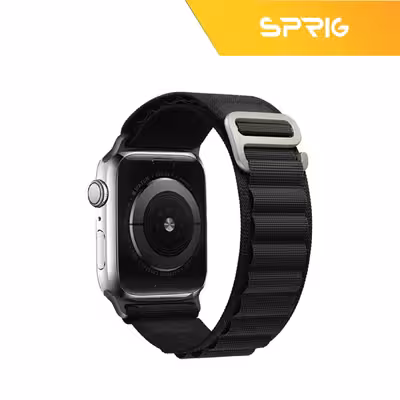 بند اسپریگ مدل Loop Alpine مناسب برای اپل واچ Series 4 Aluminum 40mm