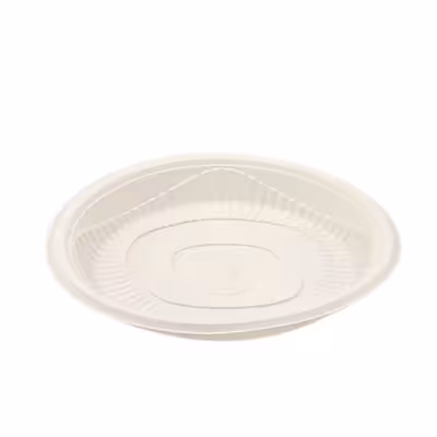 بشقاب یکبار مصرف بهزیست مدل گیاهی مجموعه 50 عددی