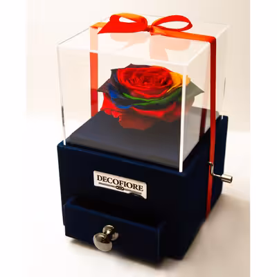 جعبه موزیکال رز جاودان دکوفیوره مدل کشودار هندل رنگارنگ