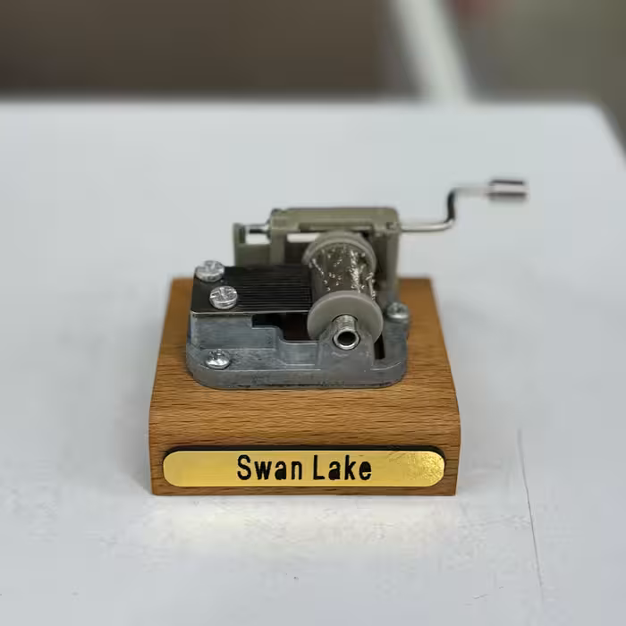 موزیک باکس دریاچه قو