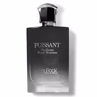 ادکلن مردانه بایراک پویسانت BayRock Puissant حجم 100 میل