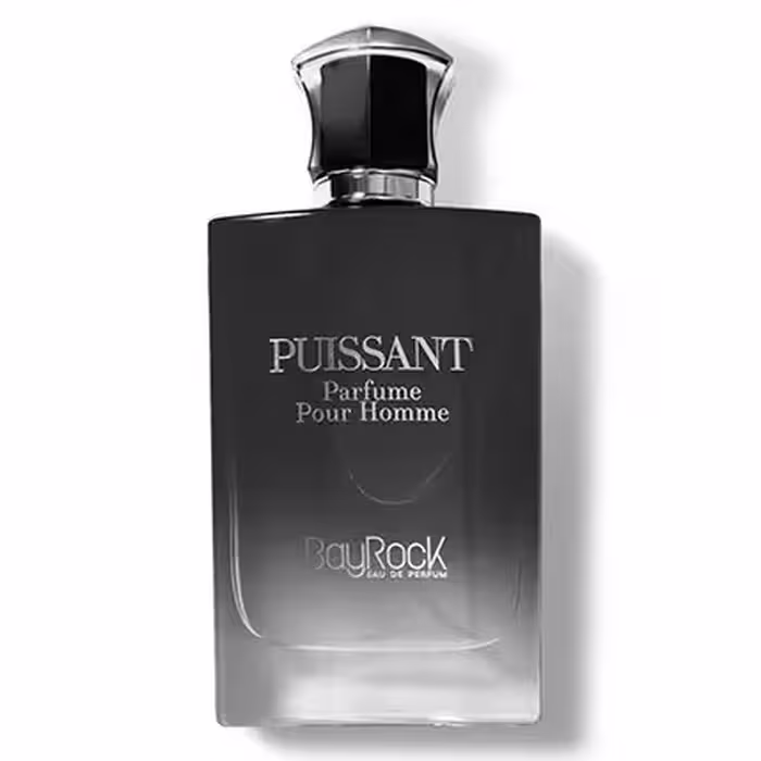 ادکلن مردانه بایراک پویسانت BayRock Puissant حجم 100 میل